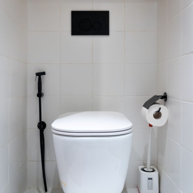 White wall-hung rimless commode